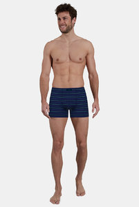 743470 Боксеры Fashion  Day