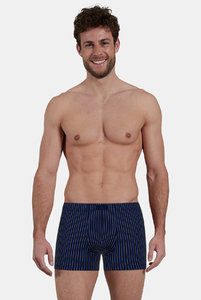 743480 Боксеры Fashion  Day