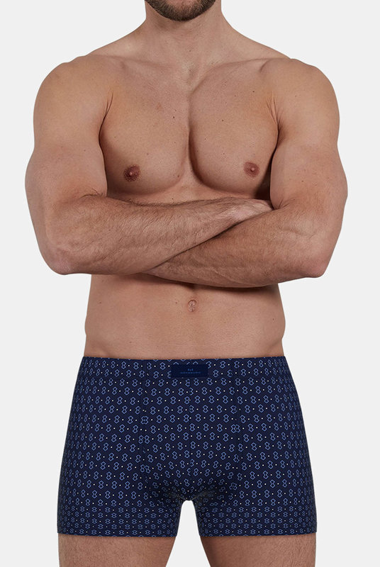 743509 Боксеры Fashion  Day