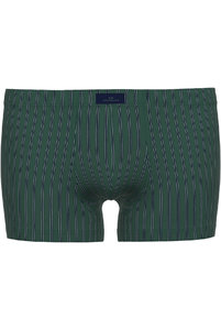 743524 Боксеры Fashion  Day