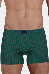 743524 Боксеры Fashion  Day