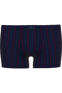 743542 Боксеры Fashion  Day