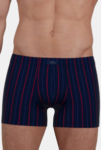 743542 Боксеры Fashion  Day