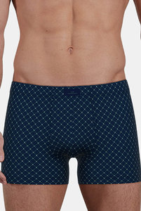 743520 Боксеры Fashion  Day