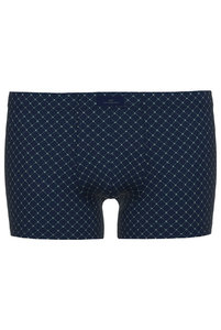 743520 Боксеры Fashion  Day