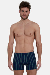 743513 Боксеры Fashion  Day