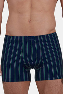 743513 Боксеры Fashion  Day