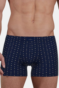 743528 Боксеры Fashion  Day