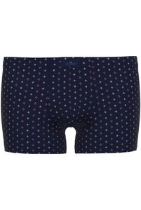 743538 Боксеры Fashion  Day