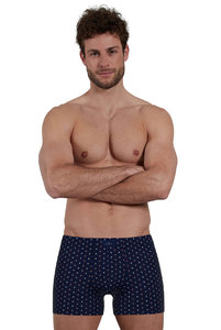 743538 Боксеры Fashion  Day