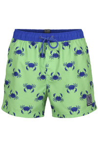 80054 Шорты Beach